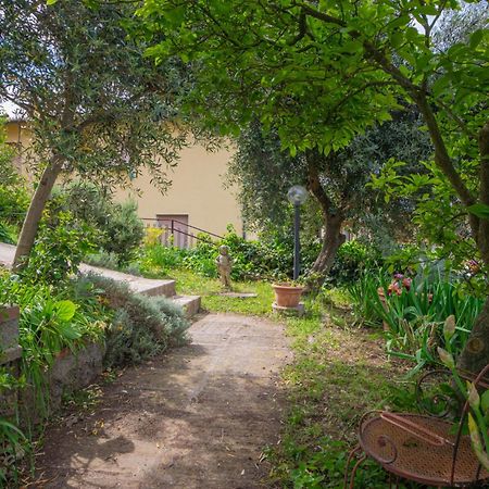Villa Panoramica Garden Bike Massa Marittima Eksteriør billede