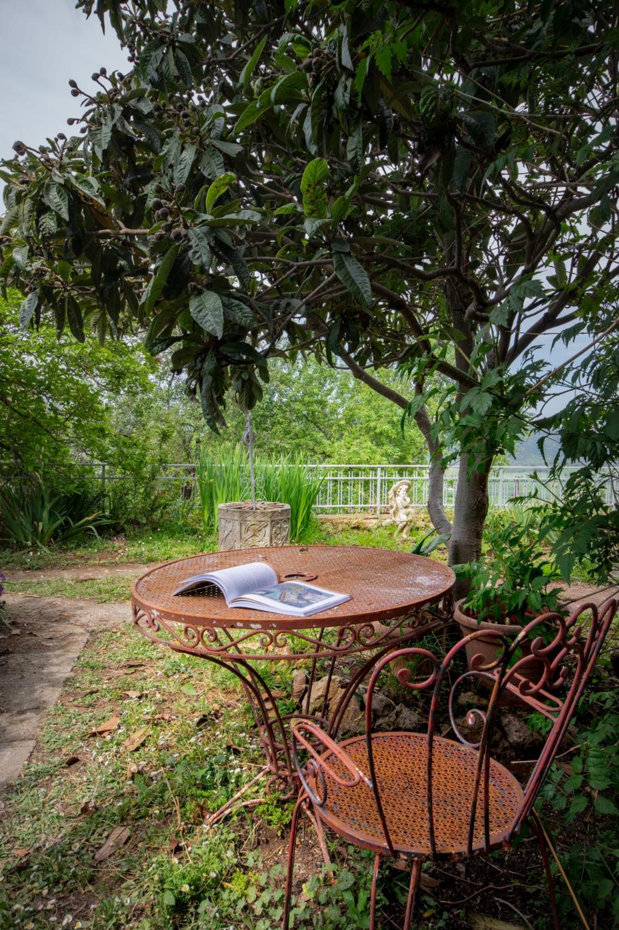 Villa Panoramica Garden Bike Massa Marittima Eksteriør billede