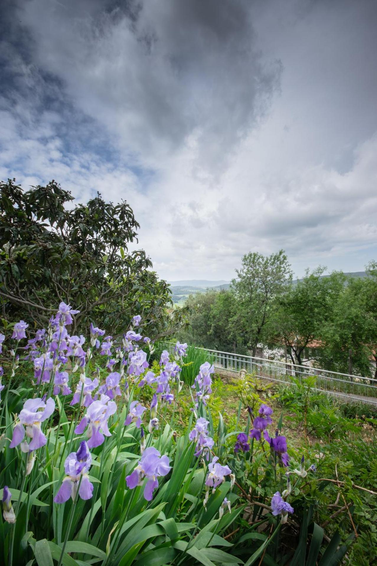 Villa Panoramica Garden Bike Massa Marittima Eksteriør billede